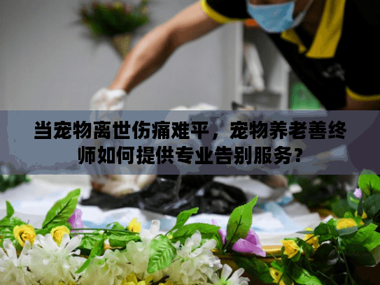 当宠物离世伤痛难平，宠物养老善终师如何提供专业告别服务？