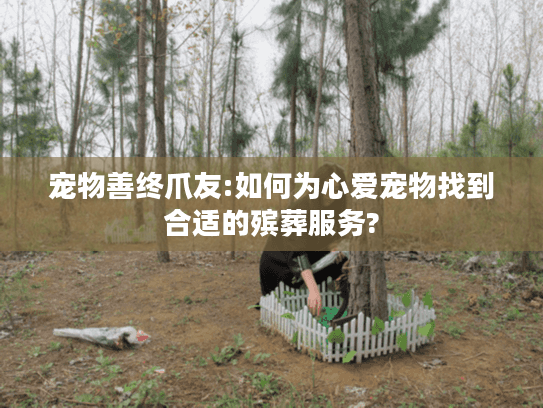 宠物善终爪友:如何为心爱宠物找到合适的殡葬服务?