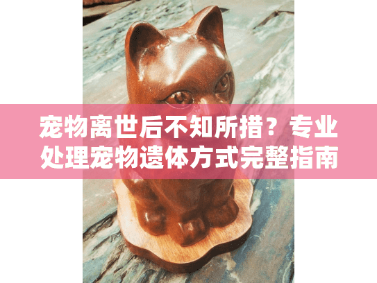 宠物离世后不知所措？专业处理宠物遗体方式完整指南