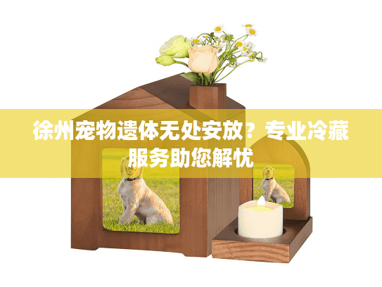 徐州宠物遗体无处安放？专业冷藏服务助您解忧