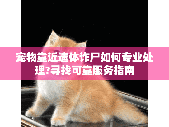 宠物靠近遗体诈尸如何专业处理?寻找可靠服务指南