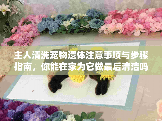 主人清洗宠物遗体注意事项与步骤指南，你能在家为它做最后清洁吗？
