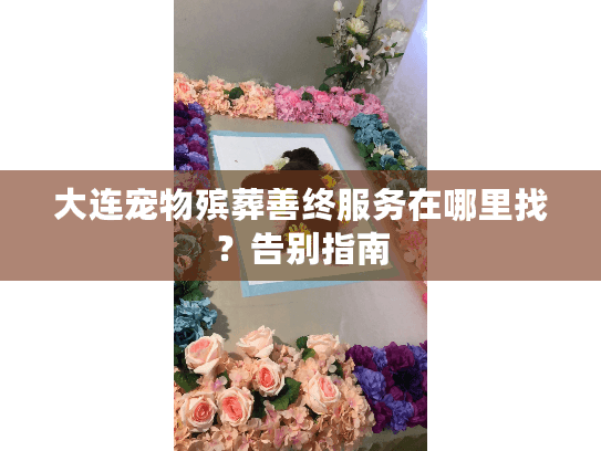 大连宠物殡葬善终服务在哪里找？告别指南