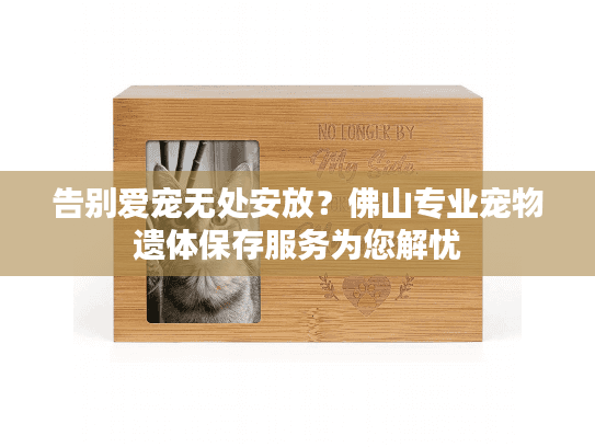告别爱宠无处安放？佛山专业宠物遗体保存服务为您解忧