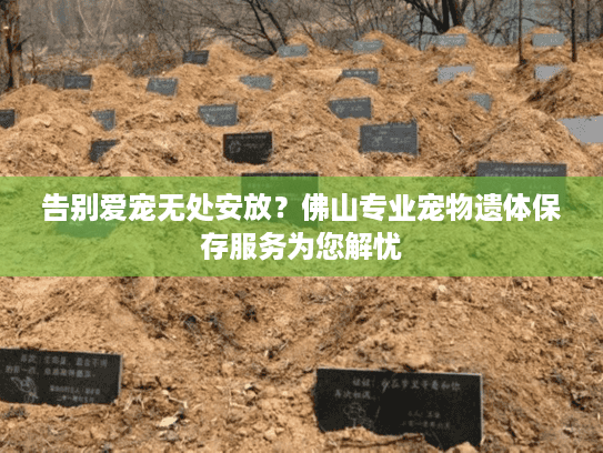 告别爱宠无处安放？佛山专业宠物遗体保存服务为您解忧