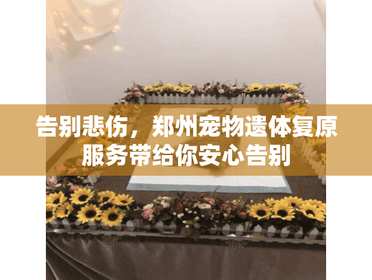 告别悲伤，郑州宠物遗体复原服务带给你安心告别