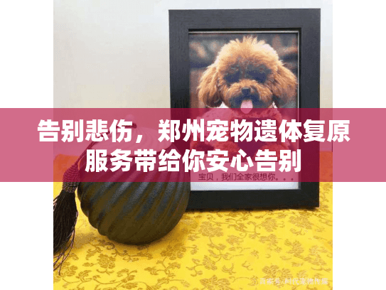 告别悲伤，郑州宠物遗体复原服务带给你安心告别