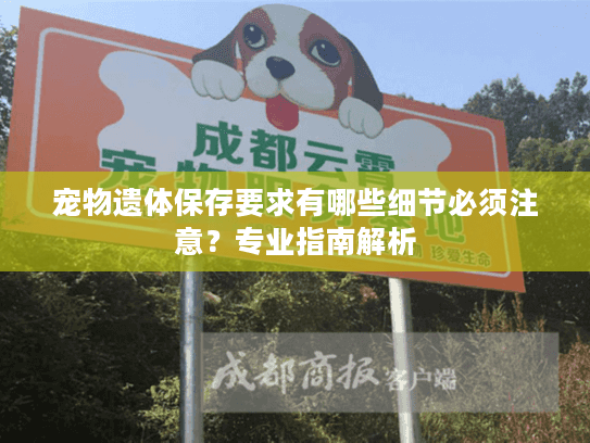 宠物遗体保存要求有哪些细节必须注意？专业指南解析