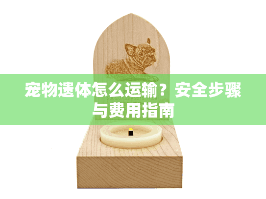 宠物遗体怎么运输?安全步骤与费用指南 宠物遗体怎么运输?安全步骤与费用指南