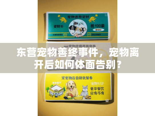 东营宠物善终事件，宠物离开后如何体面告别？