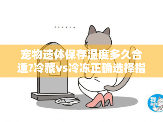 宠物遗体保存温度多久合适?冷藏vs冷冻正确选择指南