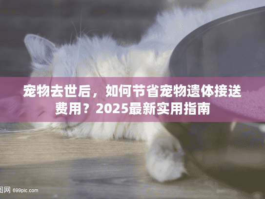 宠物去世后，如何节省宠物遗体接送费用？2025最新实用指南