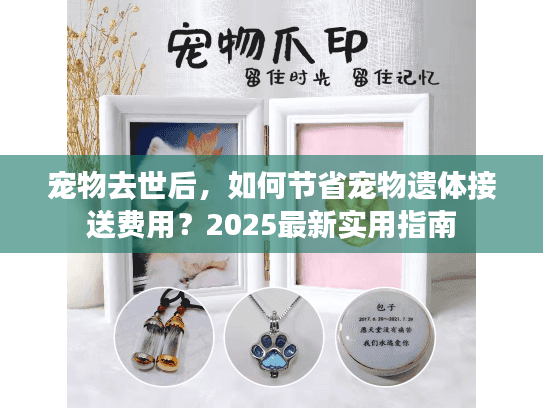 宠物去世后，如何节省宠物遗体接送费用？2025最新实用指南