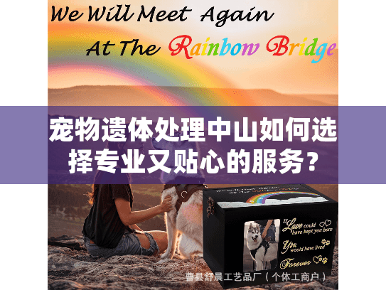 宠物遗体处理中山如何选择专业又贴心的服务? 宠物遗体处理中山如何选择专业又贴心的服务?