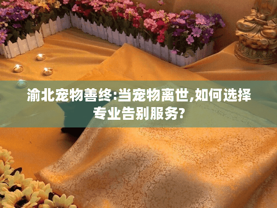渝北宠物善终:当宠物离世,如何选择专业告别服务?