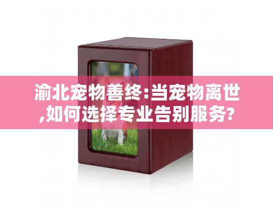 渝北宠物善终:当宠物离世,如何选择专业告别服务?