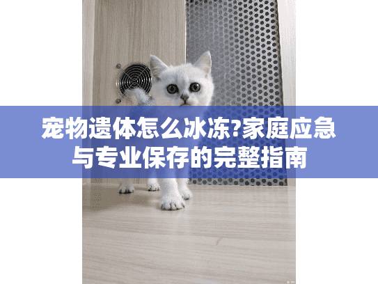 宠物遗体怎么冰冻?家庭应急与专业保存的完整指南