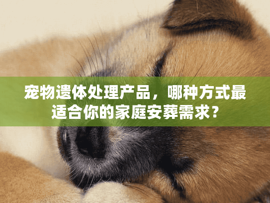 宠物遗体处理产品，哪种方式最适合你的家庭安葬需求？