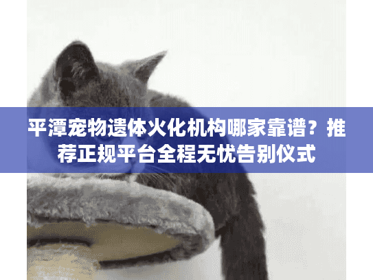 平潭宠物遗体火化机构哪家靠谱？推荐正规平台全程无忧告别仪式