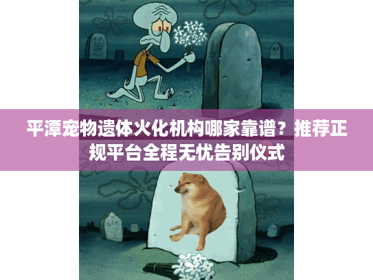 平潭宠物遗体火化机构哪家靠谱？推荐正规平台全程无忧告别仪式