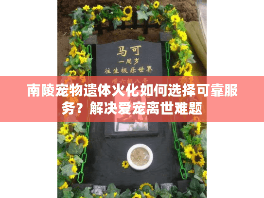 南陵宠物遗体火化如何选择可靠服务？解决爱宠离世难题