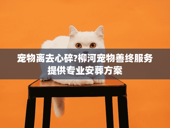 宠物离去心碎?柳河宠物善终服务提供专业安葬方案