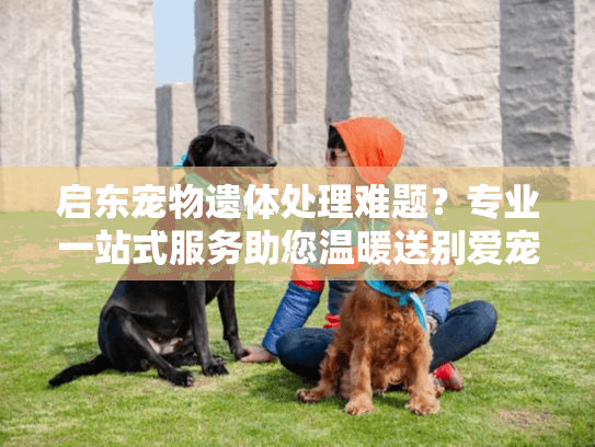 启东宠物遗体处理难题？专业一站式服务助您温暖送别爱宠