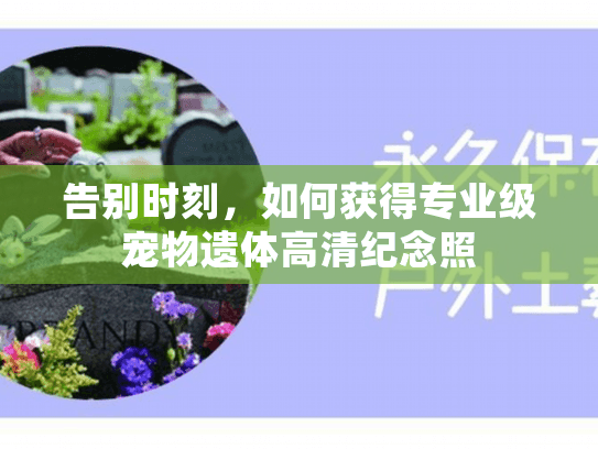 告别时刻，如何获得专业级宠物遗体高清纪念照