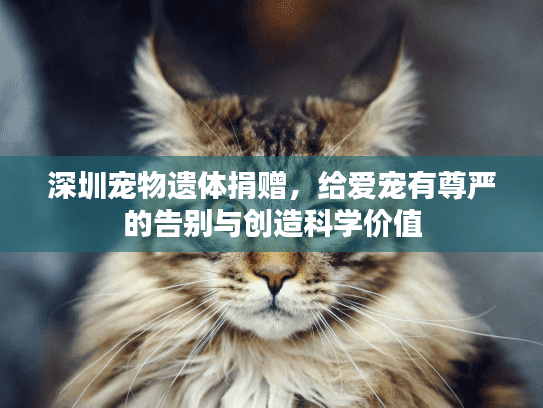 深圳宠物遗体捐赠，给爱宠有尊严的告别与创造科学价值