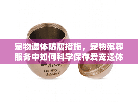 宠物遗体防腐措施，宠物殡葬服务中如何科学保存爱宠遗体？