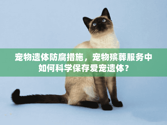 宠物遗体防腐措施，宠物殡葬服务中如何科学保存爱宠遗体？