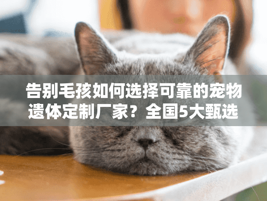 告别毛孩如何选择可靠的宠物遗体定制厂家？全国5大甄选标准指南