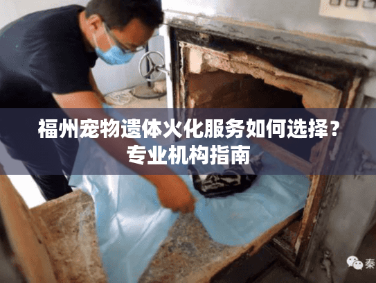 福州宠物遗体火化服务如何选择？专业机构指南
