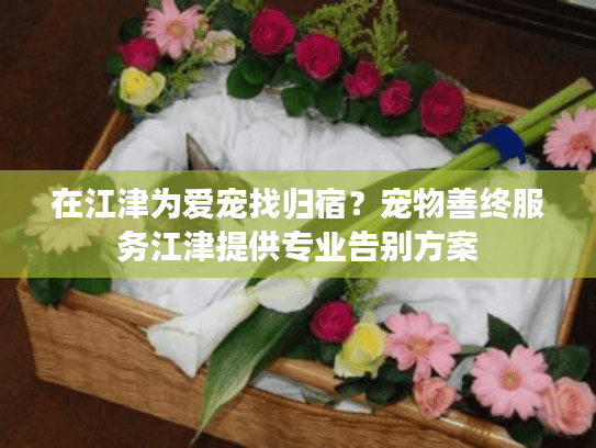 在江津为爱宠找归宿？宠物善终服务江津提供专业告别方案