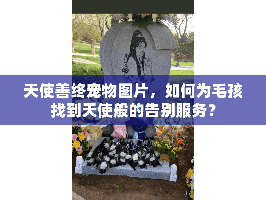 天使善终宠物图片，如何为毛孩找到天使般的告别服务？