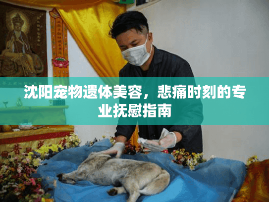 沈阳宠物遗体美容，悲痛时刻的专业抚慰指南