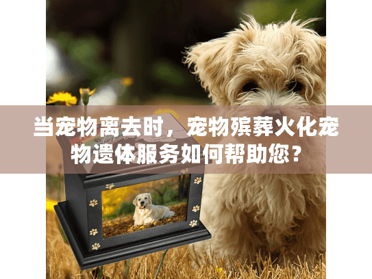 当宠物离去时，宠物殡葬火化宠物遗体服务如何帮助您？