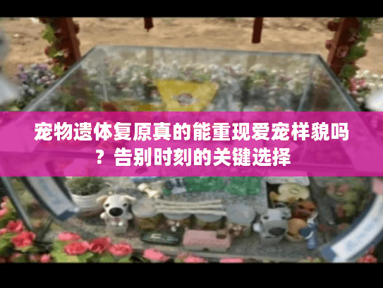 宠物遗体复原真的能重现爱宠样貌吗？告别时刻的关键选择
