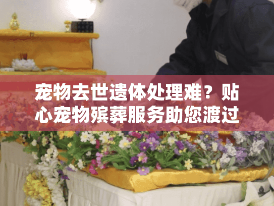 宠物去世遗体处理难？贴心宠物殡葬服务助您渡过难关