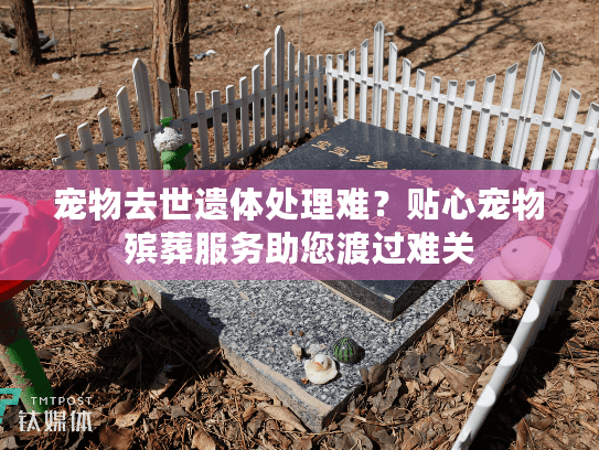 宠物去世遗体处理难？贴心宠物殡葬服务助您渡过难关