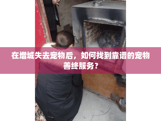 在增城失去宠物后，如何找到靠谱的宠物善终服务？