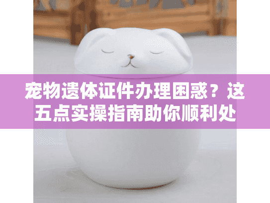 宠物遗体证件办理困惑？这五点实操指南助你顺利处理