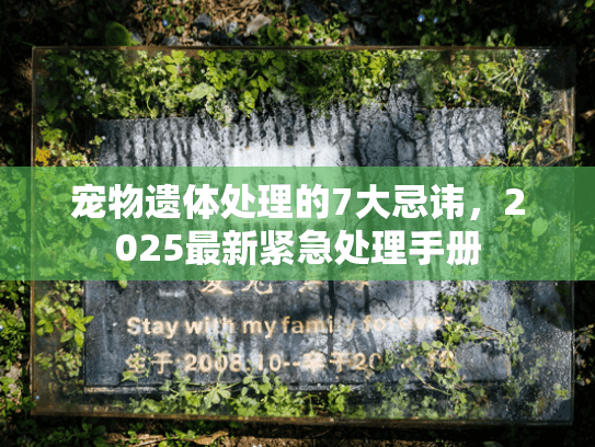 宠物遗体处理的7大忌讳，2025最新紧急处理手册