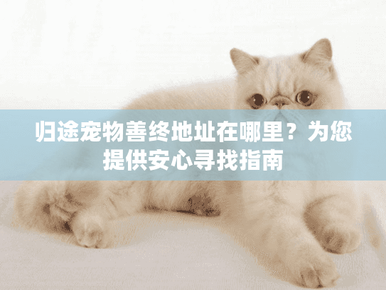 归途宠物善终地址在哪里？为您提供安心寻找指南