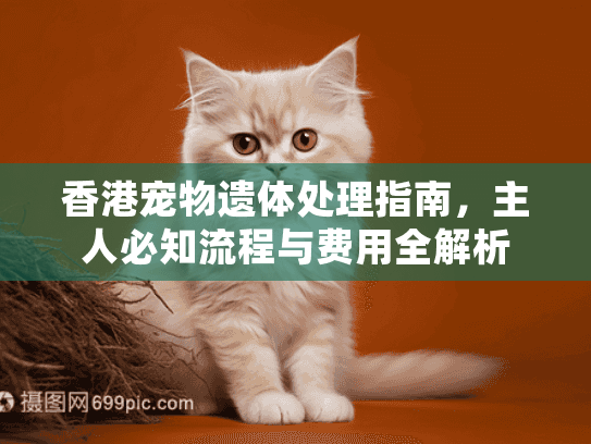 香港宠物遗体处理指南，主人必知流程与费用全解析