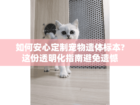 如何安心定制宠物遗体标本?这份透明化指南避免遗憾