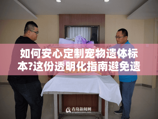 如何安心定制宠物遗体标本?这份透明化指南避免遗憾