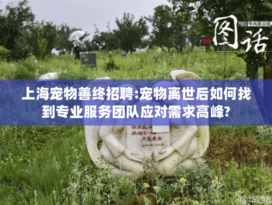 上海宠物善终招聘:宠物离世后如何找到专业服务团队应对需求高峰?