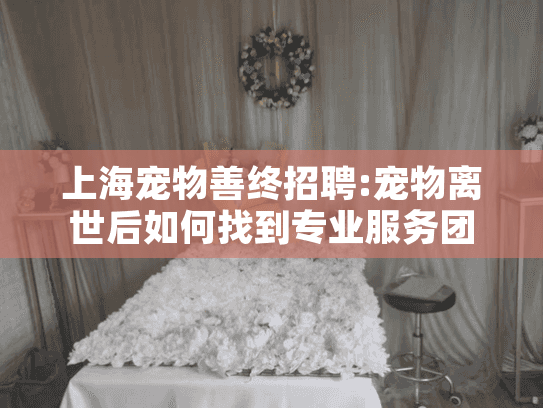 上海宠物善终招聘:宠物离世后如何找到专业服务团队应对需求高峰?