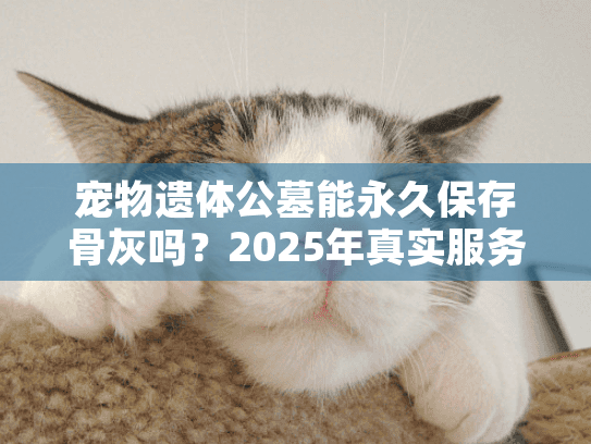 宠物遗体公墓能永久保存骨灰吗？2025年真实服务指南